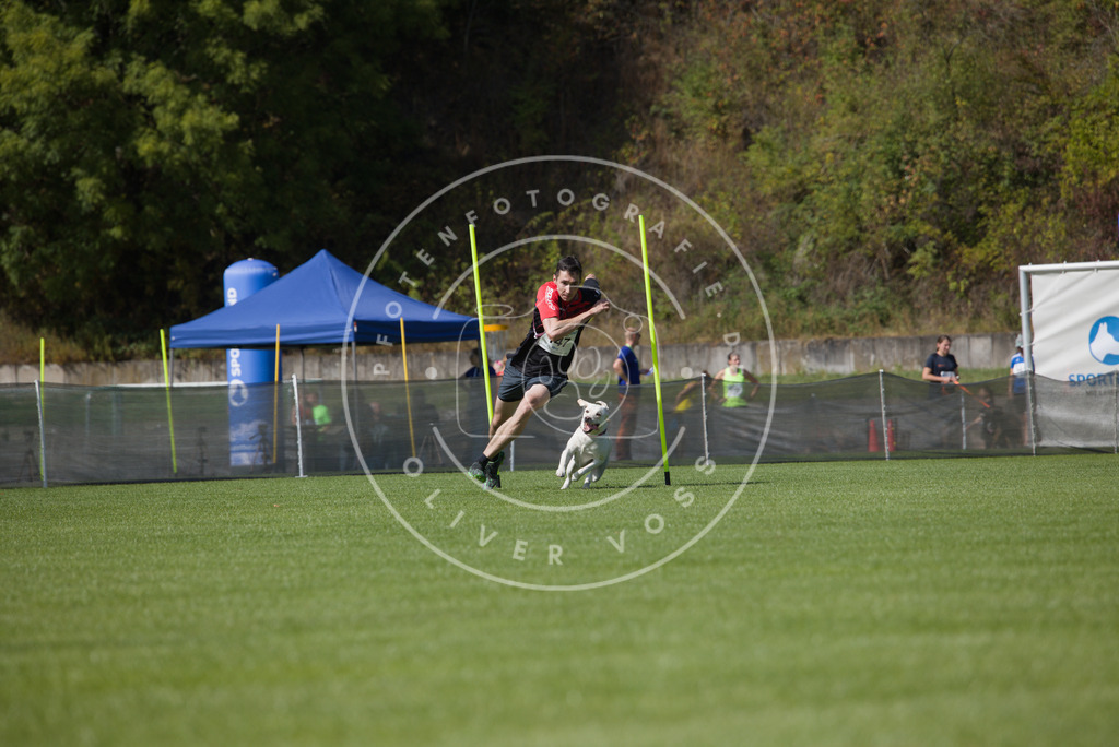 0L8A3094 | Hundefotografie, Tierfotograf, Pfotenfotografie, Fotoshooting Hund, Hunde Portrait, Hundesport, Hundeportraits, Heideshooting, Hunde, Sportfotograf, Hundefotograf, Turnierhundsport, THS,  - Realisiert mit Pictrs.com