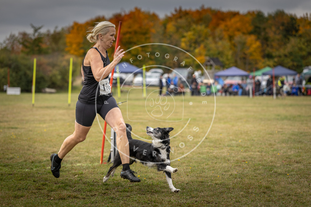 Pfotenfotografie_DV3A5903 | Hundefotografie, Tierfotograf, Pfotenfotografie, Fotoshooting Hund, Hunde Portrait, Hundesport, Hundeportraits, Heideshooting, Hunde, Sportfotograf, Hundefotograf, Turnierhundsport, THS,  - Realisiert mit Pictrs.com