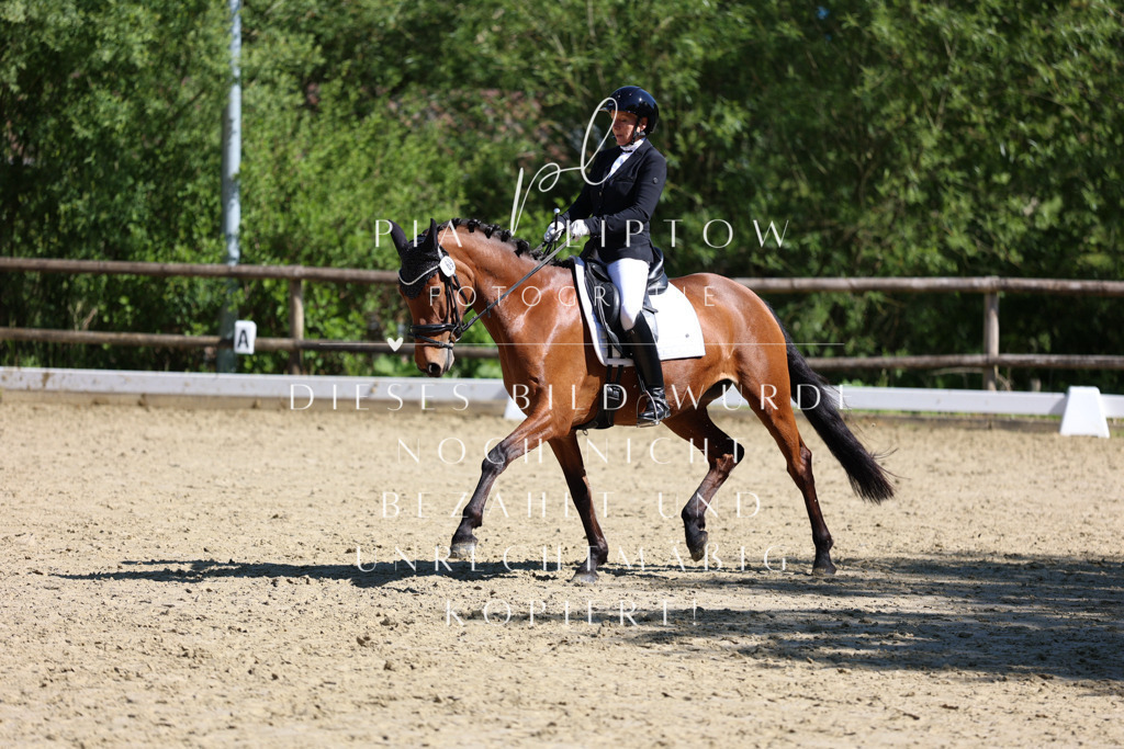 IMGT0470 | pl-fotografie