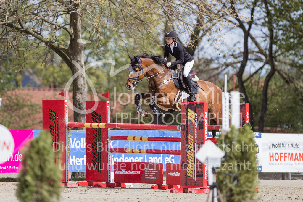 230501_SpengeW_M2St-140 | Deine schönsten Turniermomente als professionelle Fotos! Entdecke hochwertige Pferdesport-Fotografie im Online-Shop. Jetzt Fotos finden & bestellen!