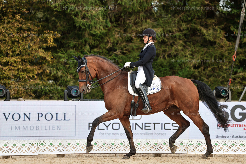 13-072-S___ -StoibPH-6998 | working equitationturnier fotograf videograf stoibphotography marixx film working equitation deutschland reitsport turnierfotografie eventfotografie equestrian events