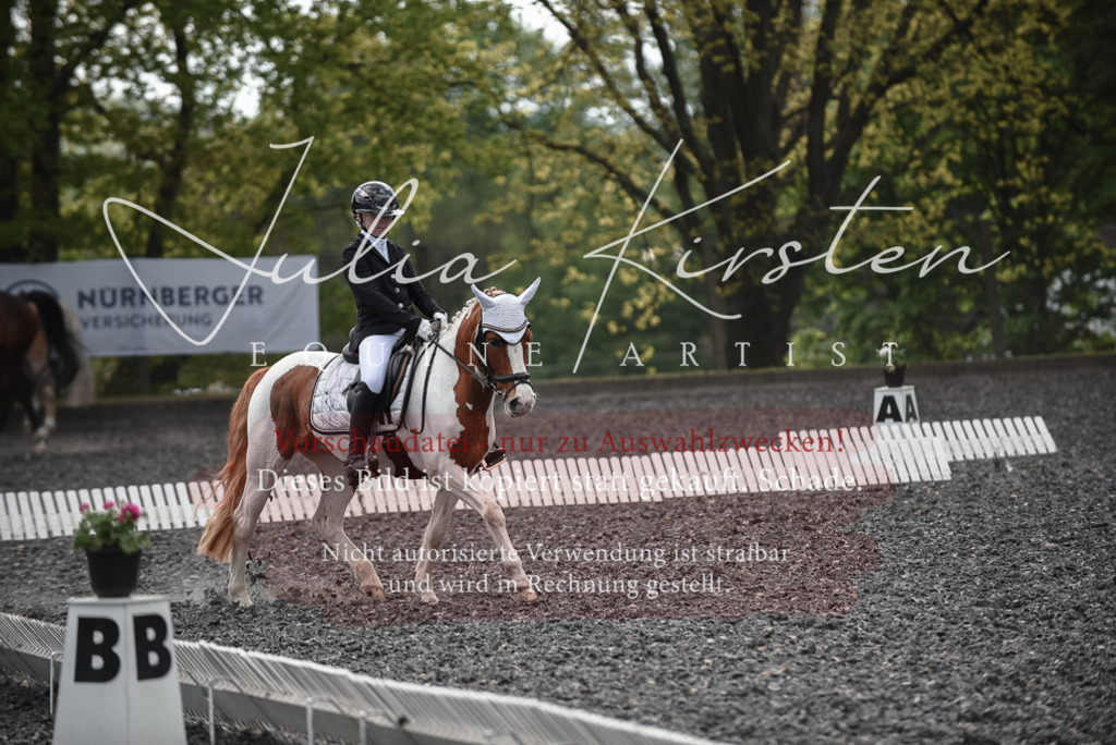 20230513_JK-Röhrsdorf-14-741 | Pferde- und Turnierfotografie in Westsachsen. Pferdeportraits, Auftragszeichnungen und intuitive Kunst.