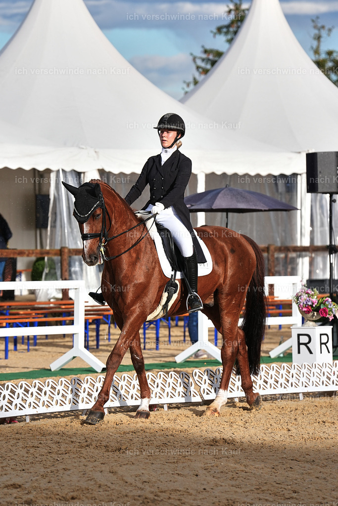 10-061-ST.GEORG SPECIAL -Marixx-3330 | working equitationturnier fotograf videograf stoibphotography marixx film working equitation deutschland reitsport turnierfotografie eventfotografie equestrian events
