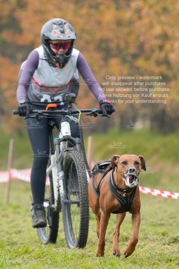 AusschnitteSa-151 | stephaniefillaphotographie - Realisiert mit Pictrs.com