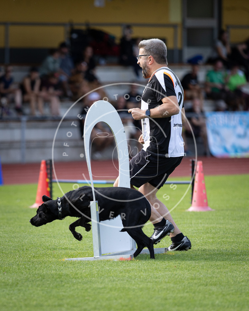 Pfotenfotografie_DV3A2946 | Hundefotografie, Tierfotograf, Pfotenfotografie, Fotoshooting Hund, Hunde Portrait, Hundesport, Hundeportraits, Heideshooting, Hunde, Sportfotograf, Hundefotograf, Turnierhundsport, THS,  - Realisiert mit Pictrs.com