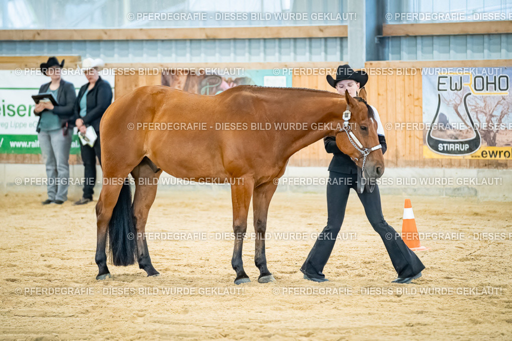 DSC09823 | Pferdegrafie