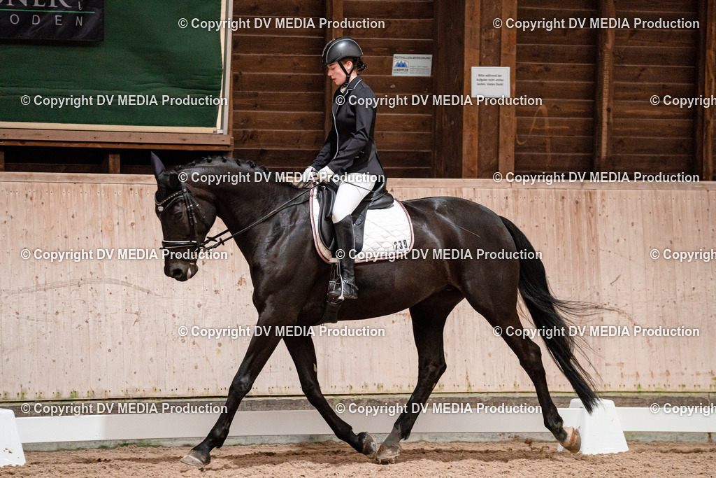 Dressur Tag 3-070 | dv-media-shop - Realisiert mit Pictrs.com