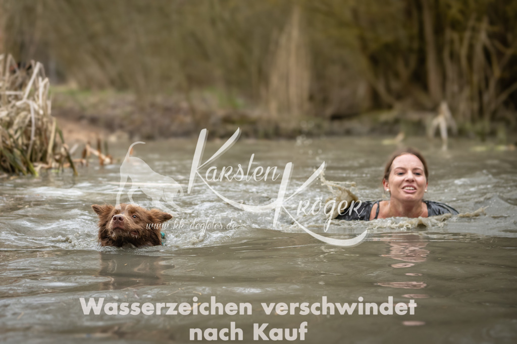 1254_ZZ92847 | kk-dogfotos