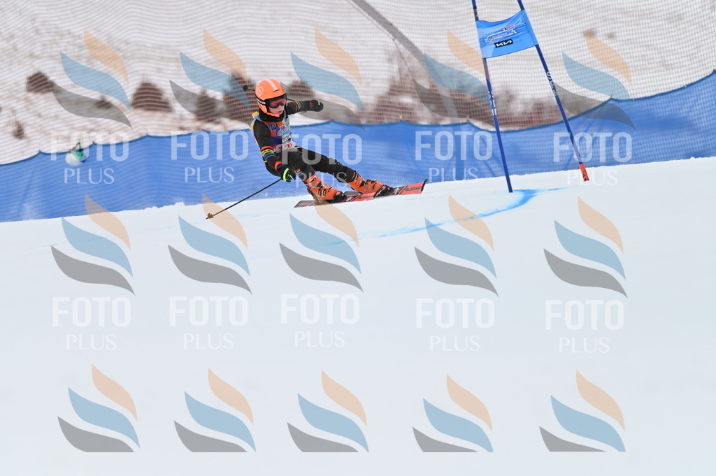 BGV_9873 | holidayphoto