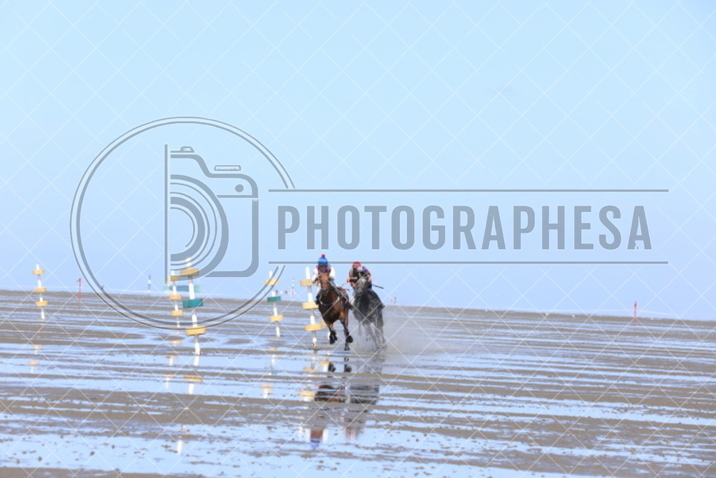 IMG_8894 | photographesa-joergens - Realisiert mit Pictrs.com