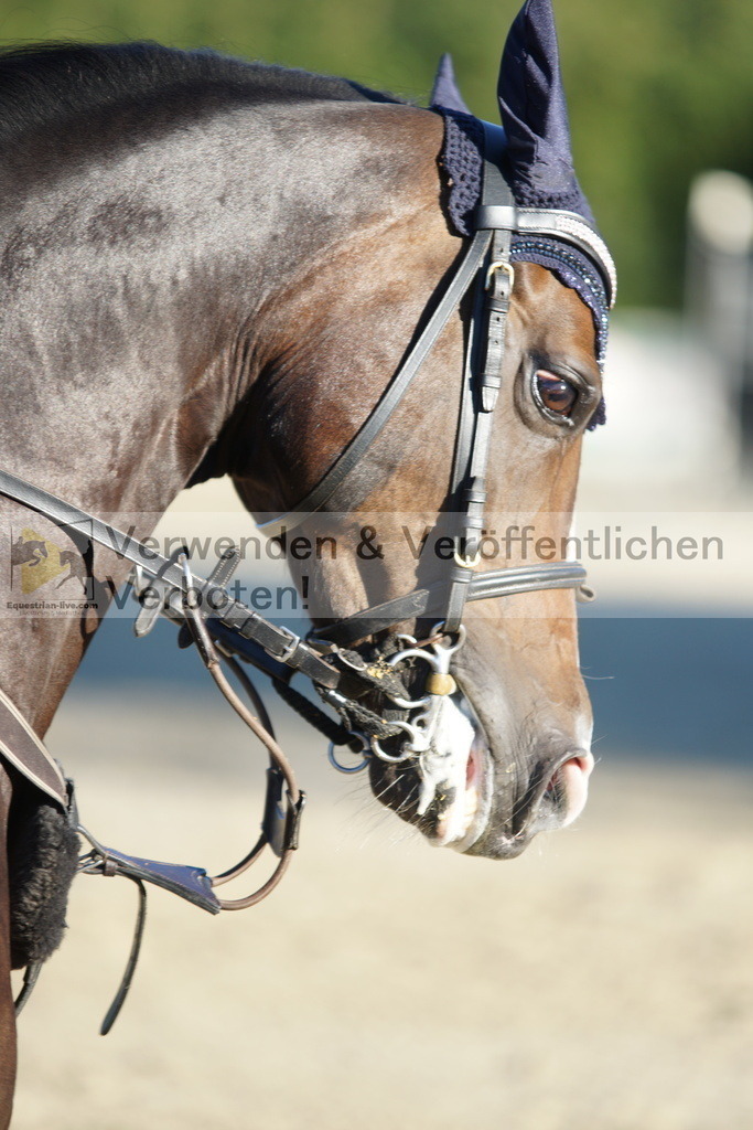 DSC08143 | equestrian-live-com