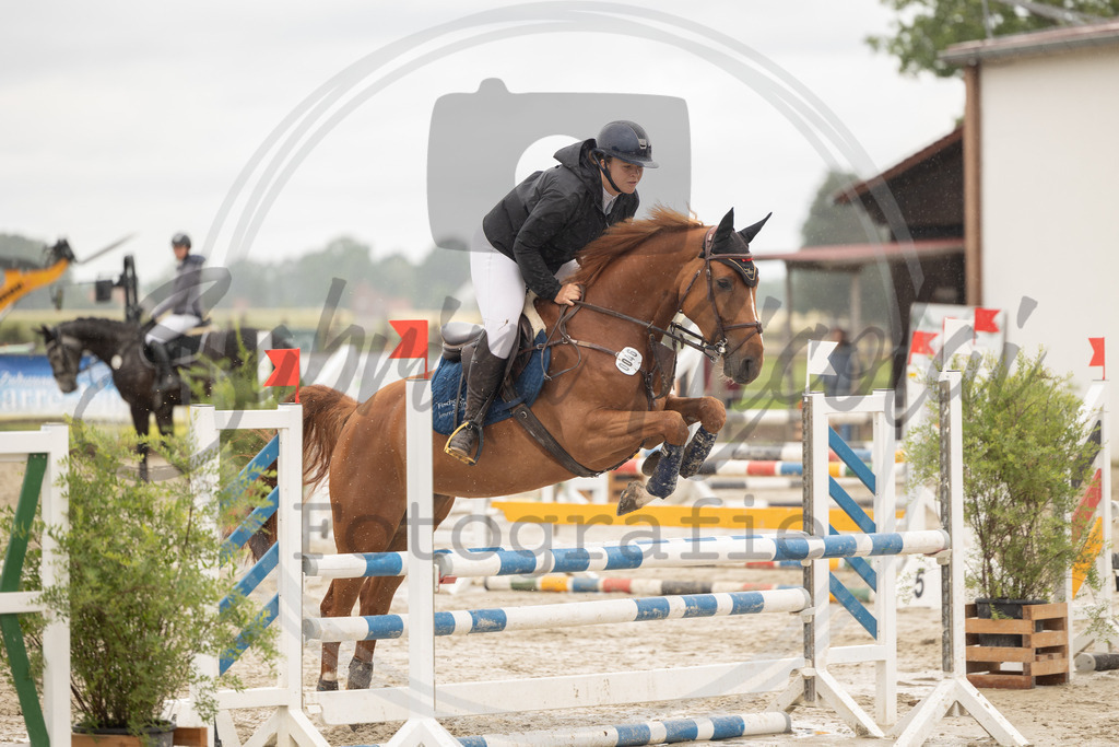 994A0175 | sabrinanicolaifotografie - Realisiert mit Pictrs.com