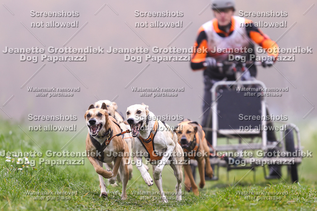 Dog Paparazzi - Visbeck 25 -8 | Dog Paparazzi Jeanette Grottendiek Fotografie & Videografie - Realisiert mit Pictrs.com