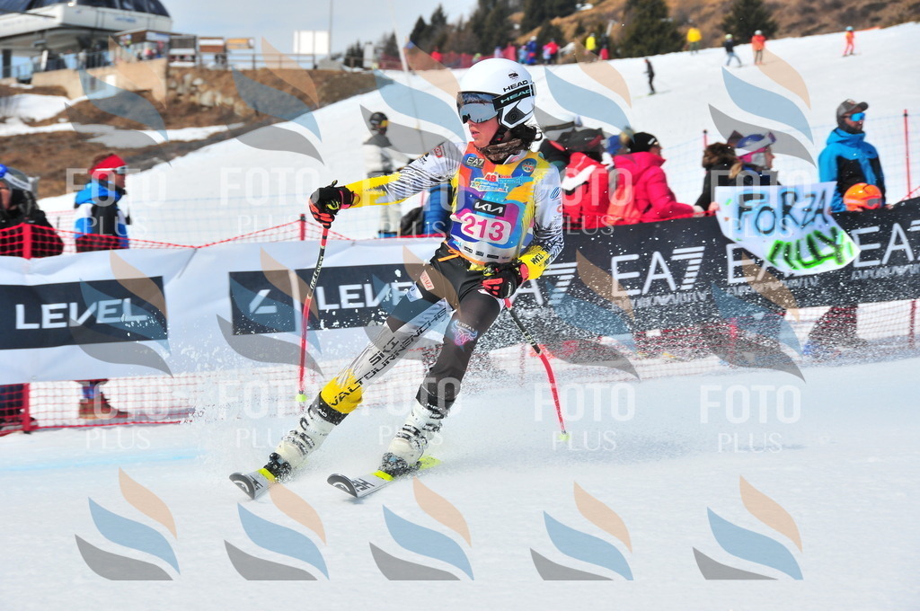 DSC_5698 | holidayphoto