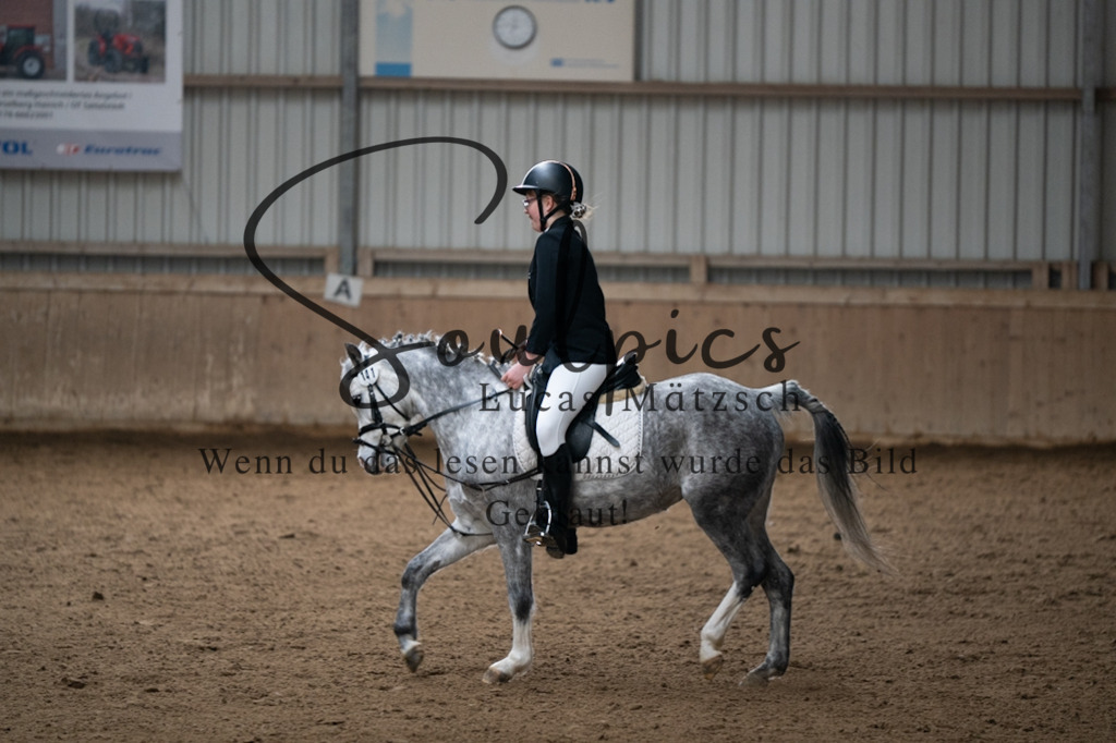 A7V04681 | Pferdefotograf