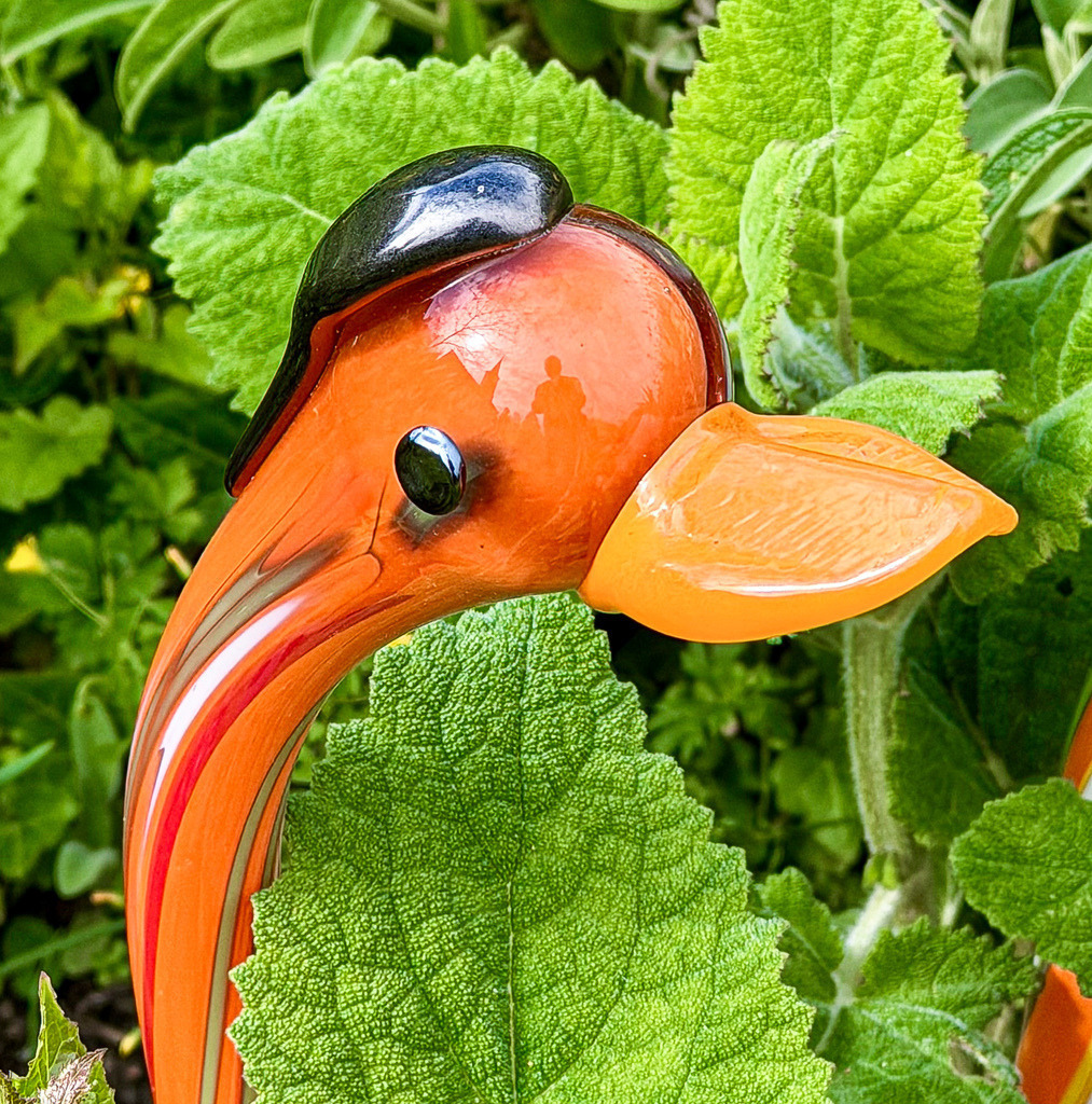 Wandbild Skulptur Vogel: Premium Poster Staudengärtnerei Staufen Deko | Bringen Sie einen Hauch von Exotik und surrealer Kunst in Ihre Räume mit diesem außergewöhnlichen Fotokunst-Wandbild. Fotografiert in der renommierten Staudengärtnerei Gräfin von Zeppelin in Staufen, zeigt dieses meisterhafte Motiv eine glänzende, leuchtend orangefarbene Vogelskulptur, die perfekt eingebettet aus saftig grünem Blattwerk hervorlugt. Der brillante Komplementärkontrast aus frischem Grün und feurigem Orange erzeugt eine lebendige, moderne Dynamik mit enormer Tiefenwirkung. Dieses einzigartige Kunstwerk eignet sich überragend als hochwertiges Poster, edle Leinwand oder modernes Alu-Dibond für ein stilvolles Wohnzimmer, kreative Büros oder den Eingangsbereich. Wählen Sie jetzt Ihre Wunschgröße und bestellen Sie dieses außergewöhnliche Highlight direkt über meinen Pictrs-Shop! - Realisiert mit Pictrs.com
