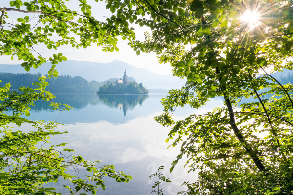 the island with a church | Lake Bled in the morning sun with it's famous island and the Church 
Cerkev Marijinega Vnebovzetja - Realisiert mit Pictrs.com