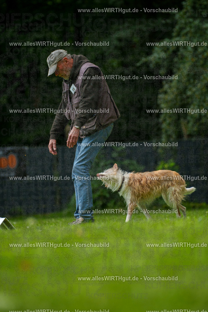 @allesWIRTHgut_Tierfotografie - www.allesWIRTHgut.de - 7R501307 | Professionelle Tierfotografie in Mönchengladbach von Daniel Wirth (allesWIRTHgut). Liebevolle & natürliche Bilder von Hunden & Katzen für unvergessliche Erinnerungen.