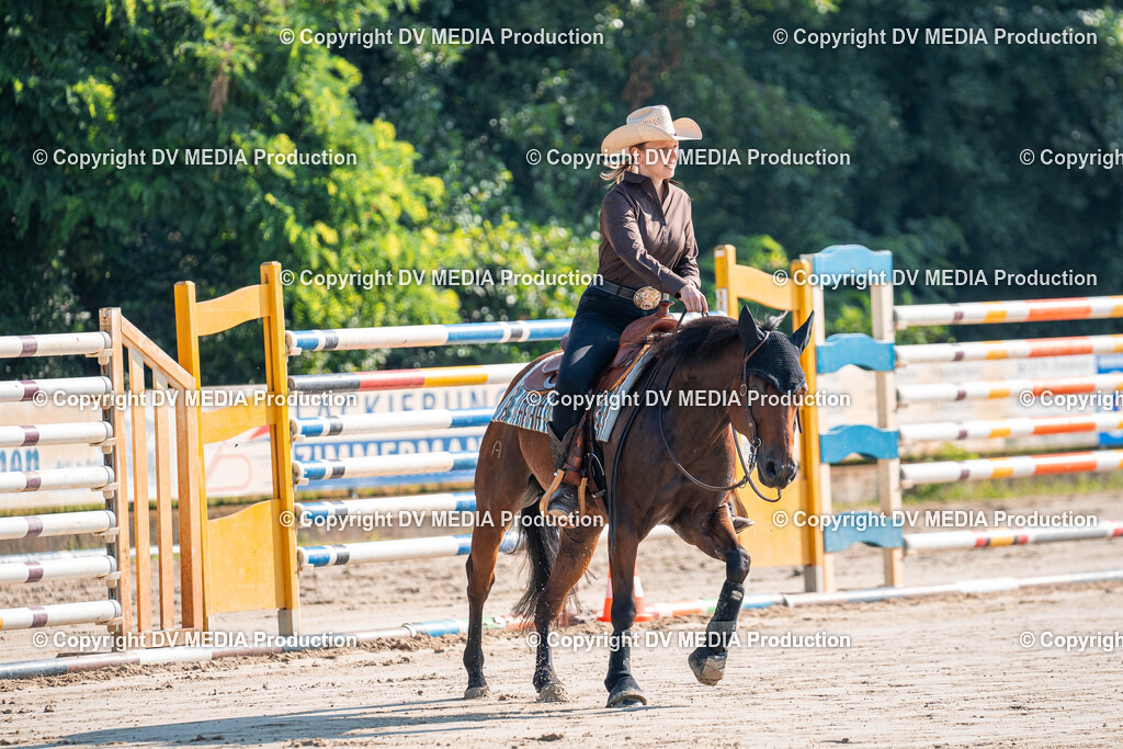 Zeiskam Tag 2-212 | dv-media-shop - Realisiert mit Pictrs.com