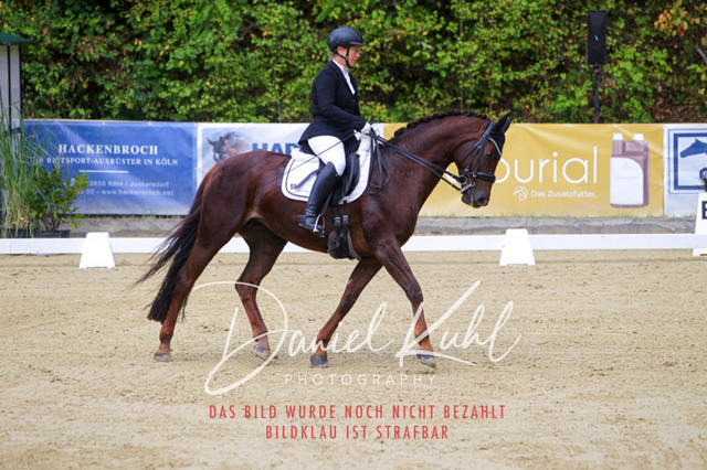 DKP40727 | Turniersportfotografie; Pferdefotografie; Dressurfotografie