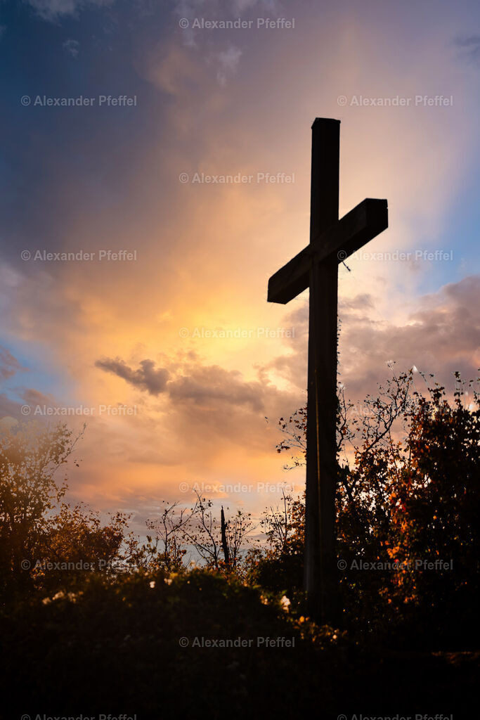 foto_c_pfeffel-partner-0082-R52_0306-Bearbeitet | alexander-pfeffel - Realisiert mit Pictrs.com