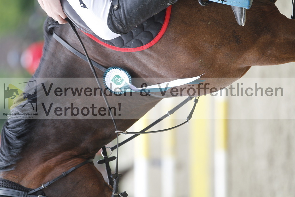 _MG_4247 | equestrian-live-com
