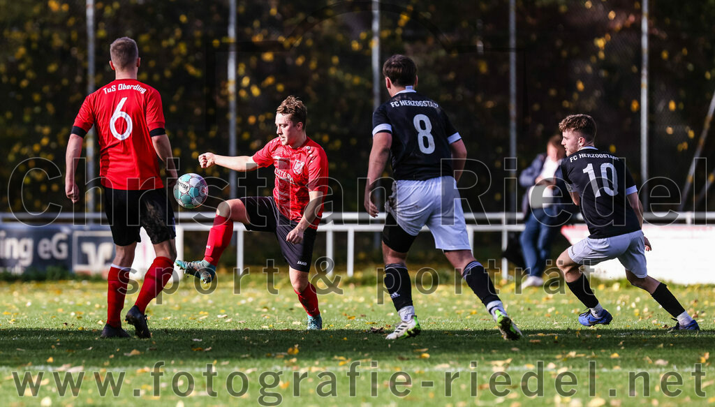 2023-11-05_091_FC_Herzogstadt_gegen_TuS_Oberding | Erding, Deutschland, 05.11.2023:
Fußball, Kreisklasse 2023 / 2024, 14. Spieltag, FC Herzogstadt gegen TuS Oberding, Endergebnis: 4:5

Markus Holzmann (TuS Oberding, #6), Sebastian Stemmer (TuS Oberding, #7), Luis Bigalke (FC Herzogstadt, #8), Daniel Karamatic (FC Herzogstadt, #10)

Foto: Christian Riedel / fotografie-riedel.net