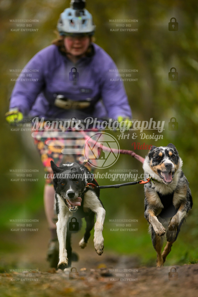 MompixPhotography_20TSB_E6_DS2-12 | PayLife