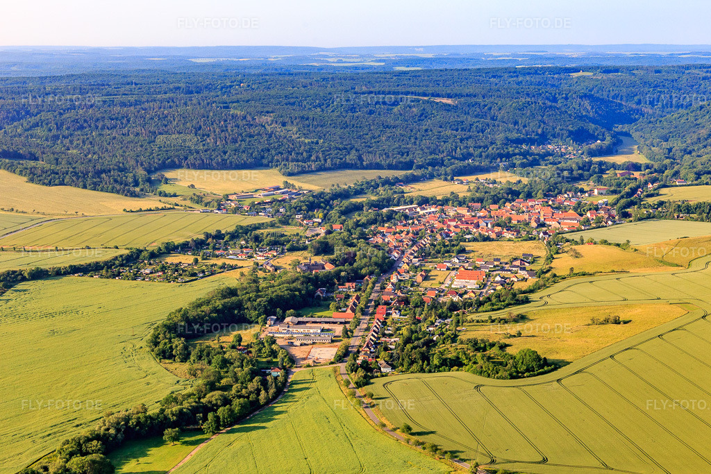 Luftbild: Dorfansicht aus Norden im Ortsteil Meisdorf in Falkenstein im Bundesland Sachsen-Anhalt in Deutschland. Foto: IMG_148079.jpg vom 12.06.2025 durch Werner Riehm/FLY-FOTO.de
