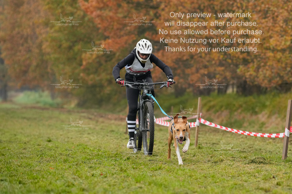 Visbeck_Sa_Bike-45 | stephaniefillaphotographie - Realisiert mit Pictrs.com