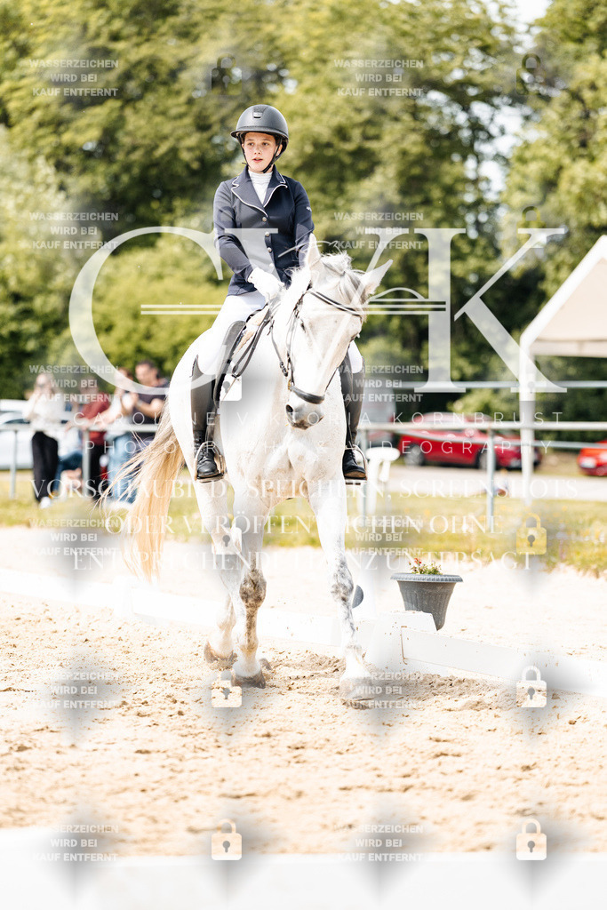 CK902171 | Turnierfotografie Pferdefotografie Trier Rheinland-Pfalz Pferdesport Reitsport Tierfotografie Sportfotografie Pferdevideo Pferdevideografie Equestrianvideography equestrianphotography  - Realisiert mit Pictrs.com