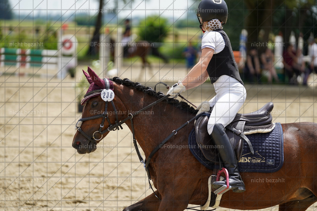 20240629-FAH09732 | Schwabmünchen, 2024, Dressurturnier, Springturnier, Turnierfotografen Bayern, Turnierbilder Schwabmünchen, Turnierfotos Bayern, Reitsportfotograf, Turnierbilder Bayern, Fotoagentur Herrmann