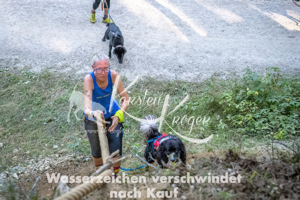 0930_ZZ91616-DeNoiseAI-low-light | kk-dogfotos