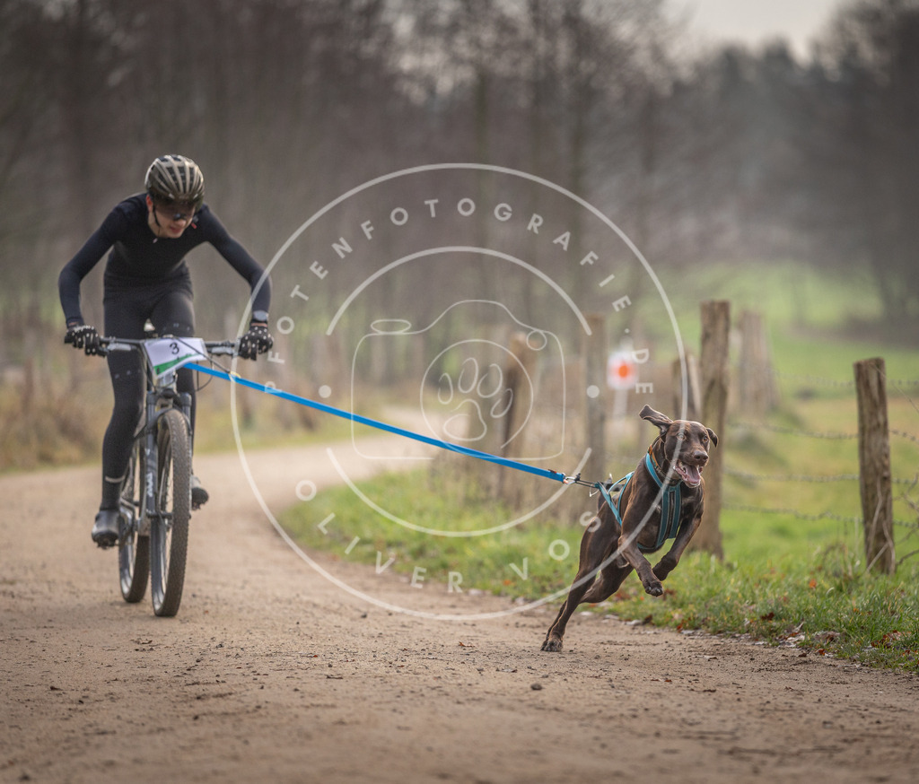 Pfotenfotografie_DV3A1551 | Hundefotografie, Tierfotograf, Pfotenfotografie, Fotoshooting Hund, Hunde Portrait, Hundesport, Hundeportraits, Heideshooting, Hunde, Sportfotograf, Hundefotograf, Turnierhundsport, THS,  - Realisiert mit Pictrs.com