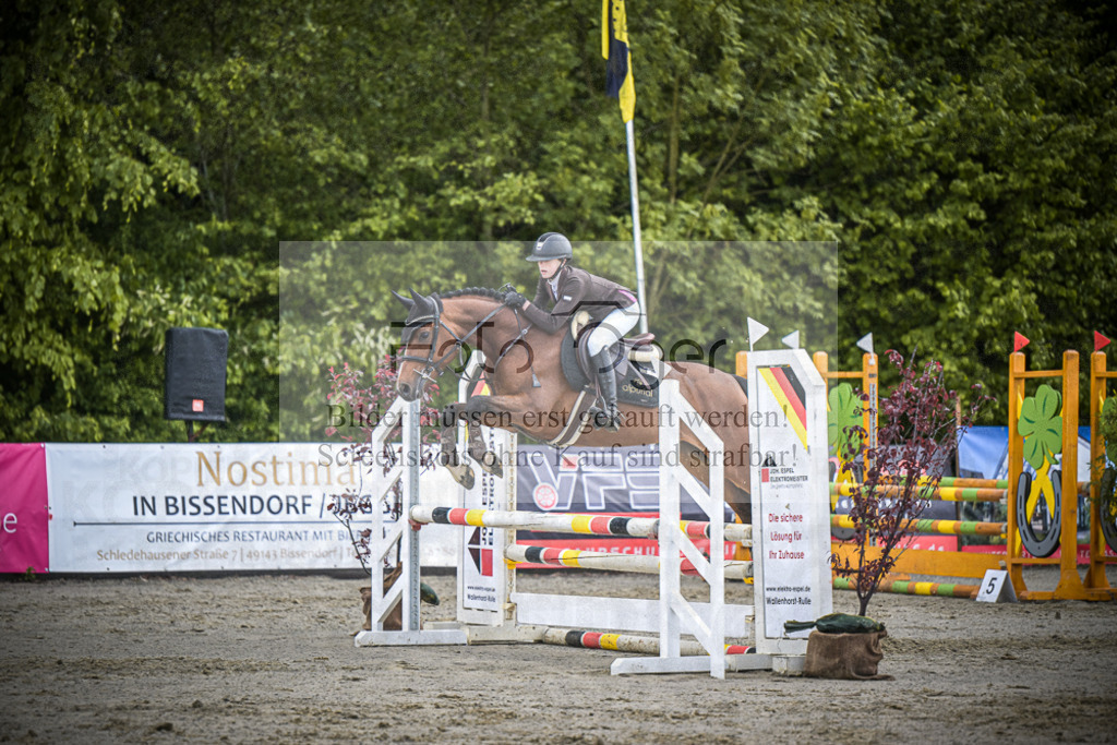 DOS_7678 | Entdecke hochwertige Reitturnierfotos von Foto Oger. Professionell, emotional und authentisch – jetzt Lieblingsmomente im Shop bestellen.Deutschlandweite Turnierfotografie. - Realisiert mit Pictrs.com