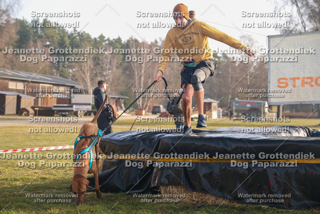 Dog Paparazzi - SD North 0326 900930-282 | Dog Paparazzi Jeanette Grottendiek Fotografie & Videografie - Realisiert mit Pictrs.com