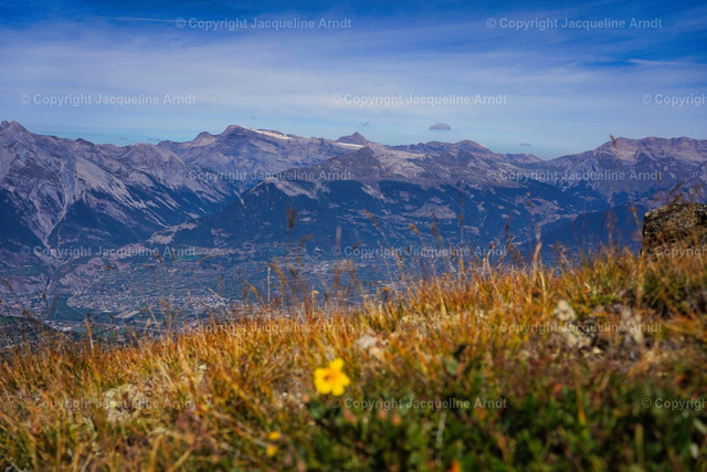 wallis_ | Fotografie Photography Dresden Photoshooting  Fotoshooting Fotografin Dresdencity Bilder  Foto Dresdenvideos Kalender Postkarten Bilderdownload Portrait Hochzeitsfotografie Familienfotos Bewerbungsbilder Studiofotografie Fotograf Dresdenbilder Business - Realisiert mit Pictrs.com