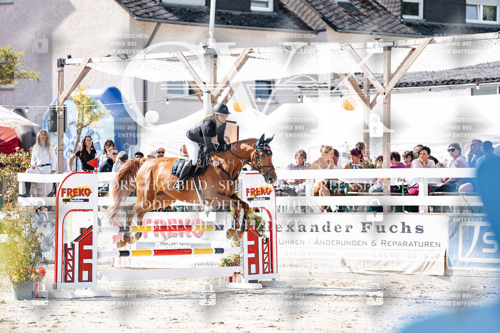 CK907951 | Turnierfotografie Pferdefotografie Trier Rheinland-Pfalz Pferdesport Reitsport Tierfotografie Sportfotografie Pferdevideo Pferdevideografie Equestrianvideography equestrianphotography  - Realisiert mit Pictrs.com