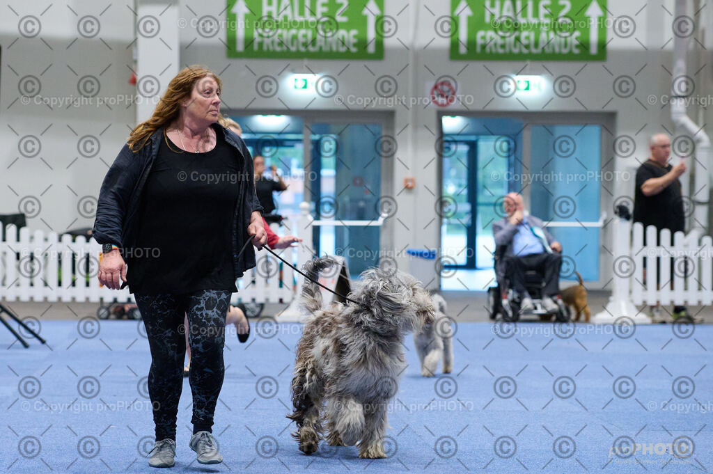 202406_ÖKV-IHA-Tulln24_DSC_3291 | proPHOTO - Realisiert mit Pictrs.com