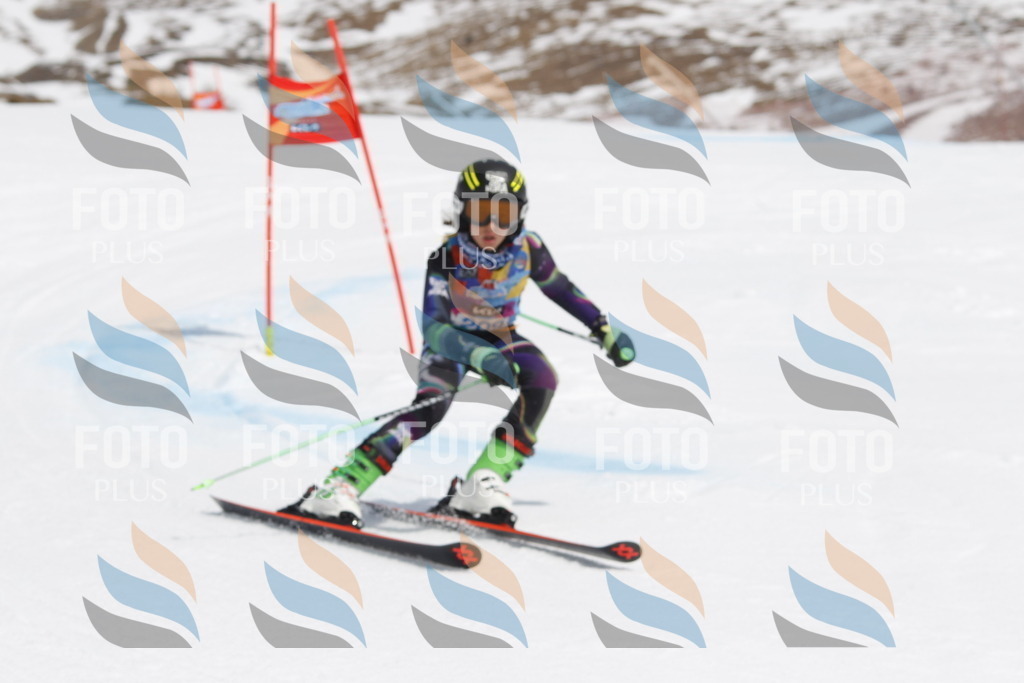 _U3G2214 | holidayphoto