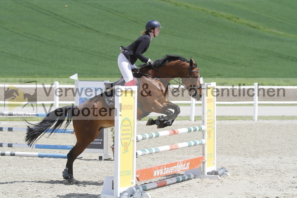 _MG_2145 | equestrian-live-com