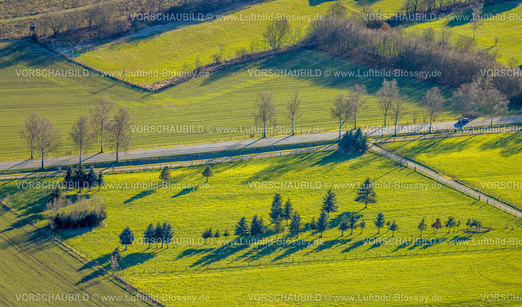 Meschede230206066 | Luftbild, Baumallee auf Wiesen, Stockhauser Straße, Wennemen, Meschede, Sauerland, Nordrhein-Westfalen, Deutschland