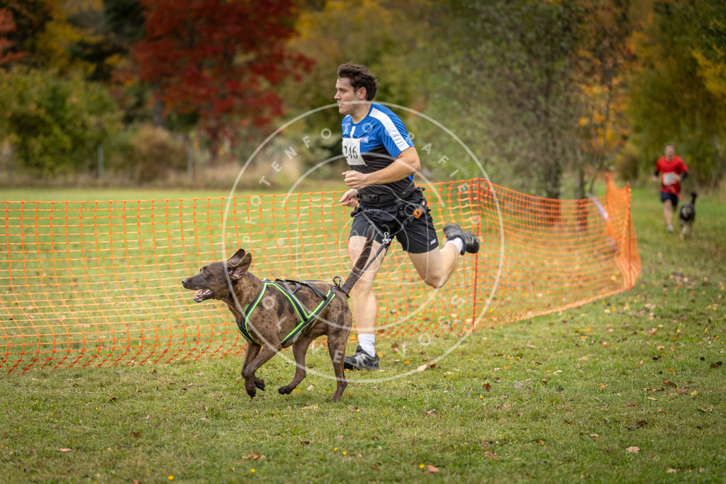 Pfotenfotografie_DV3A4223 | Hundefotografie, Tierfotograf, Pfotenfotografie, Fotoshooting Hund, Hunde Portrait, Hundesport, Hundeportraits, Heideshooting, Hunde, Sportfotograf, Hundefotograf, Turnierhundsport, THS,  - Realisiert mit Pictrs.com