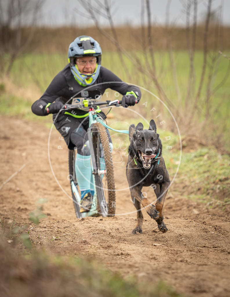 DV3A1348 | Hundefotografie, Tierfotograf, Pfotenfotografie, Fotoshooting Hund, Hunde Portrait, Hundesport, Hundeportraits, Heideshooting, Hunde, Sportfotograf, Hundefotograf, Turnierhundsport, THS,  - Realisiert mit Pictrs.com