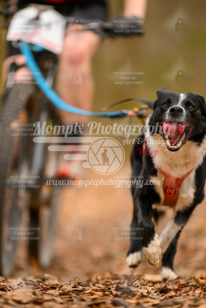 MompixPhotography_Habay2025_SA_Bike-154 | PayLife