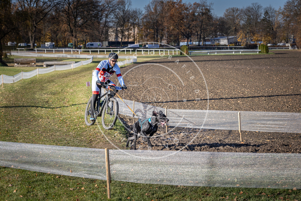CaniXpix_DV3A3340 | Hundefotografie, Tierfotograf, Pfotenfotografie, Fotoshooting Hund, Hunde Portrait, Hundesport, Hundeportraits, Heideshooting, Hunde, Sportfotograf, Hundefotograf, Turnierhundsport, THS,  - Realisiert mit Pictrs.com