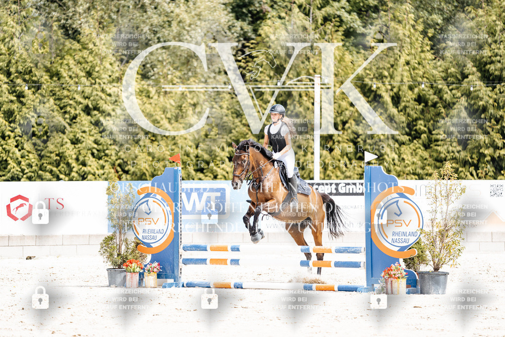 CK906712 | Turnierfotografie Pferdefotografie Trier Rheinland-Pfalz Pferdesport Reitsport Tierfotografie Sportfotografie Pferdevideo Pferdevideografie Equestrianvideography equestrianphotography  - Realisiert mit Pictrs.com