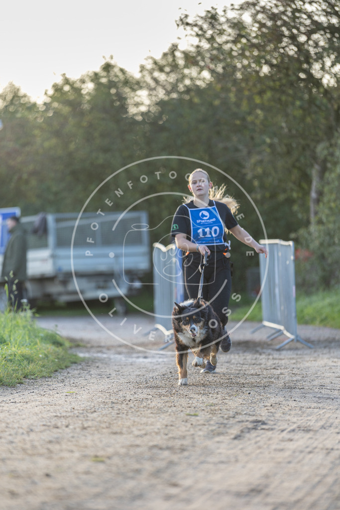 Pfotenfotografie.de_DV3A2536 | Hundefotografie, Tierfotograf, Pfotenfotografie, Fotoshooting Hund, Hunde Portrait, Hundesport, Hundeportraits, Heideshooting, Hunde, Sportfotograf, Hundefotograf, Turnierhundsport, THS, canicross - Realisiert mit Pictrs.com
