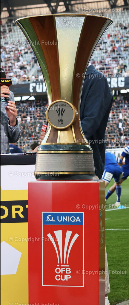 A_LUI_010525_00003 | SPORT,FUSSBALL,RZ PELLETS WOLFSBERG-TSV HARTBERG 01.05.2025 IM BILD : CUP POKAL  FOTO:FOTOLUI/MW