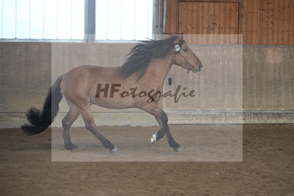 Kat-Nr. 12 Tapadero v. Tape Isidoro_Seefried_49250465 | hf-fotografie - Realisiert mit Pictrs.com